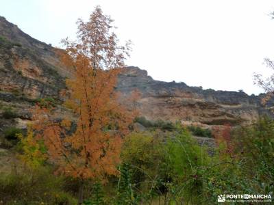 Hoces Río Duratón-Sepúlveda; navacerrada pueblo laguna de ruidera nacimiento del urederra